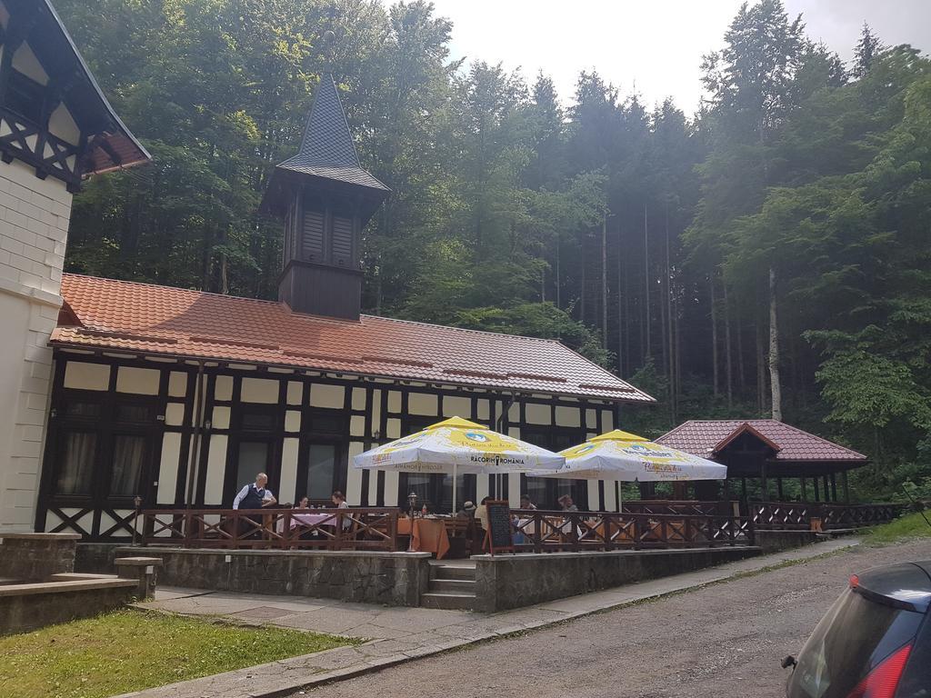 Stavilar